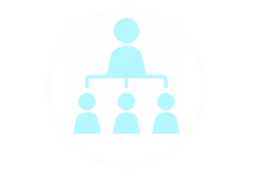 Custom Web Design