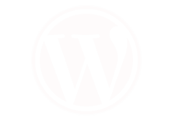 Custom Web Design